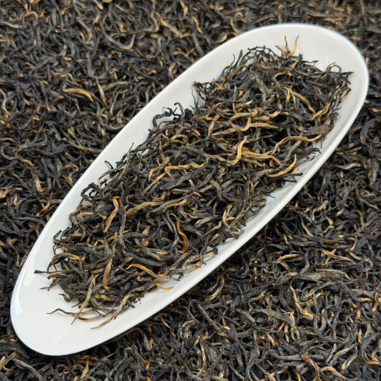 梅占高山红茶花香金骏眉