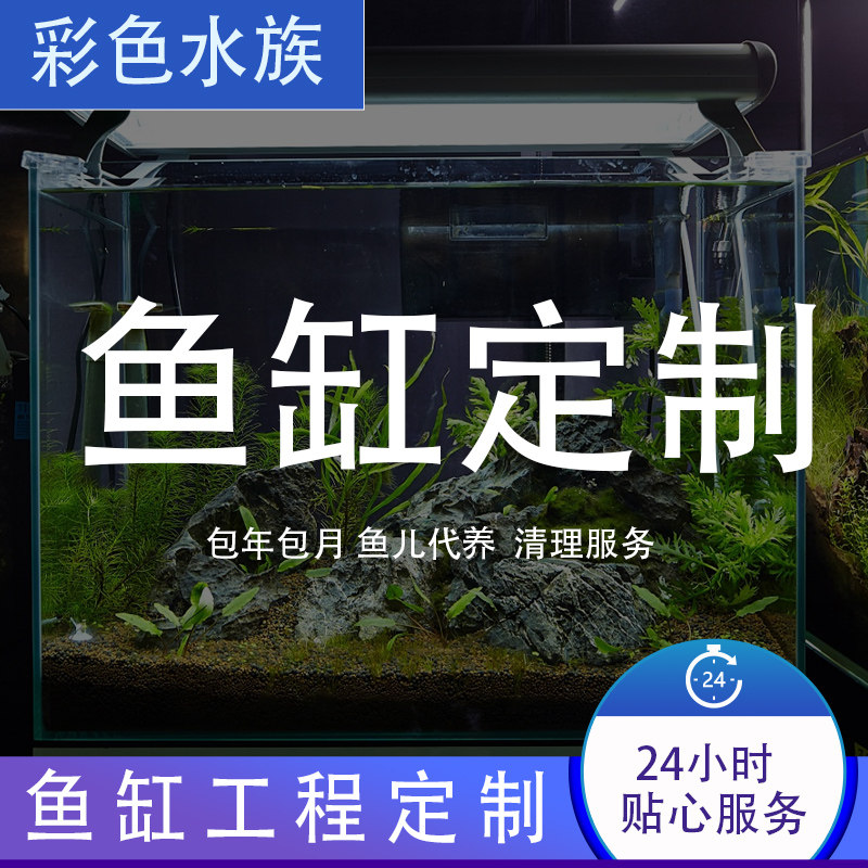 上门清洗渔缸包月养鱼治疗鱼病
