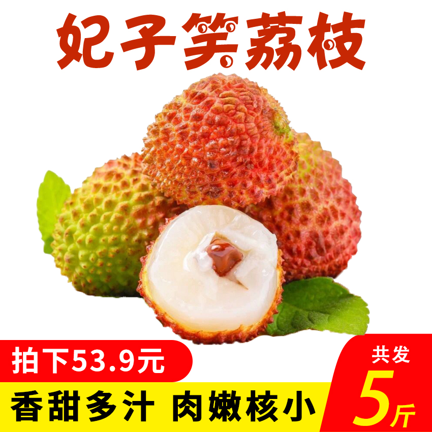 广东妃子笑荔枝5斤 新鲜当季时令荔枝 热带水果孕妇鲜甜整箱包邮