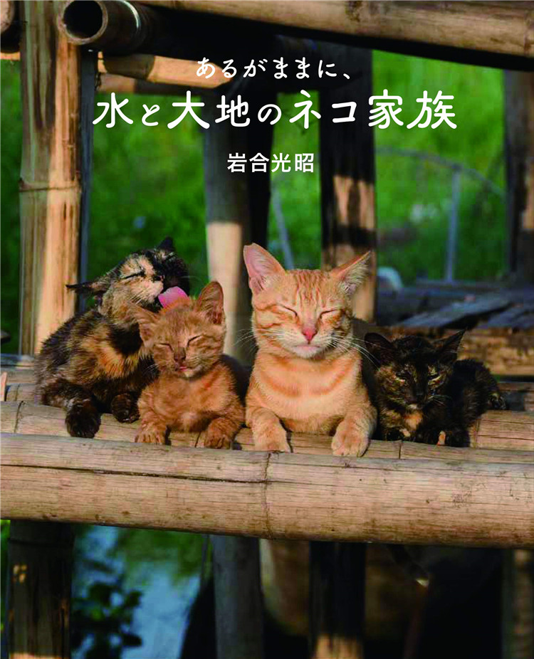 预售 劇場版 岩合光昭の世界ネコ歩き あるがままに,水と大地のネコ