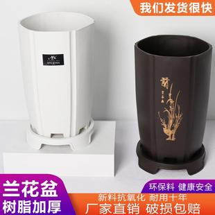 兰花盆专用高端仿紫砂兰花盆蝴蝶兰君子兰花盆塑料花盆清仓