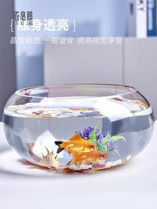 创意水族箱生态圆形玻璃金鱼缸 大号乌龟缸 迷你小型造景水培花瓶