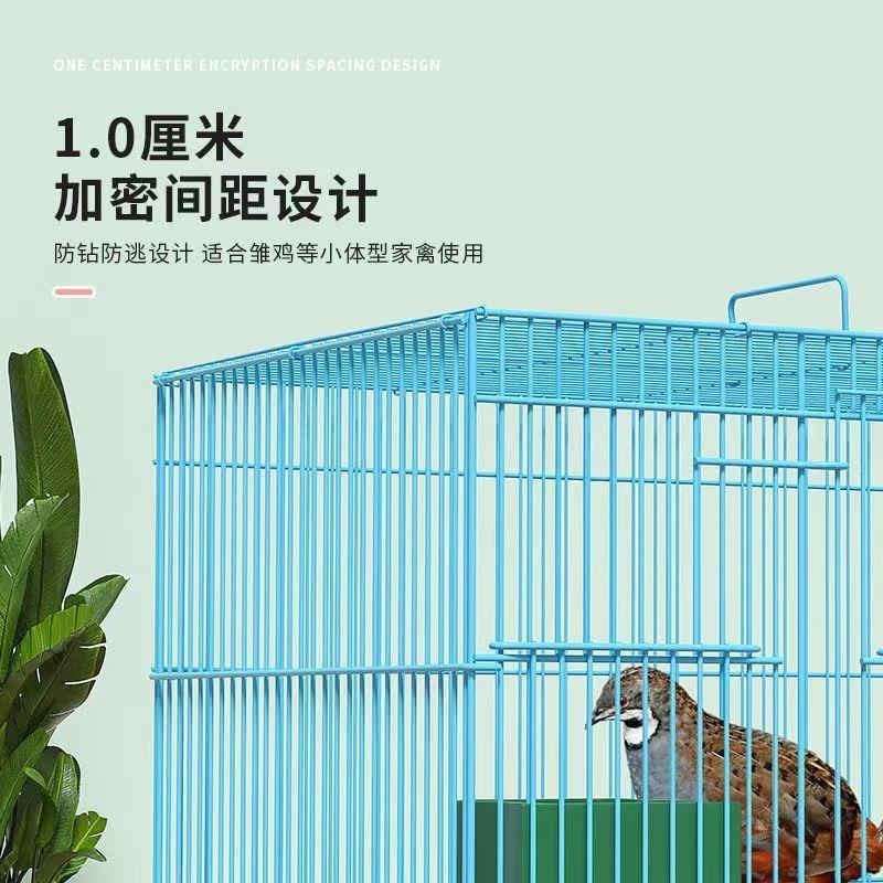 养芦丁鸡笼子饲养专用笼