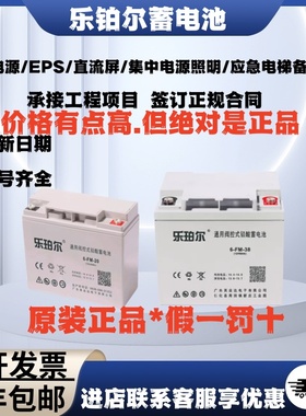 乐珀尔6-FM-24蓄电池12V17 20 33 24 38 40 65 100AH消防EUPS电源