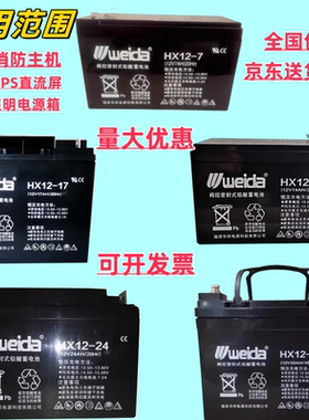 Weida威达蓄电池12V利达消防壁挂报警主机36V集中应急照明电源24V