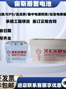 宙斯盾蓄电池ZSD100-12V100A65A55A50A38A24A17AH直流屏EUPS消防