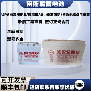 宙斯盾蓄电池ZSD100-12V100A65A55A50A38A24A17AH直流屏EUPS消防