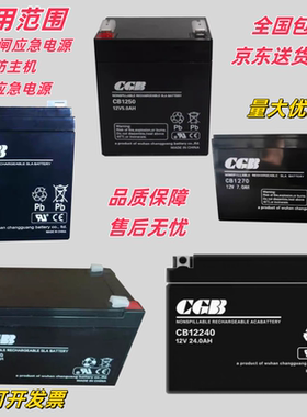 西奥电梯应急平层松闸装置UPS电源CGB长光蓄电池CB1240/1270/1250