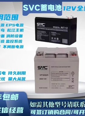 SVC蓄电池VP12100 12V200A150A100A65A38A2417A9AH直流屏EUPS消防