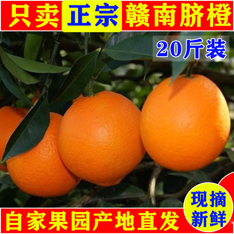 江西正宗赣南脐橙20斤装赣州寻乌甜橙子新鲜水果现摘特级产地直发
