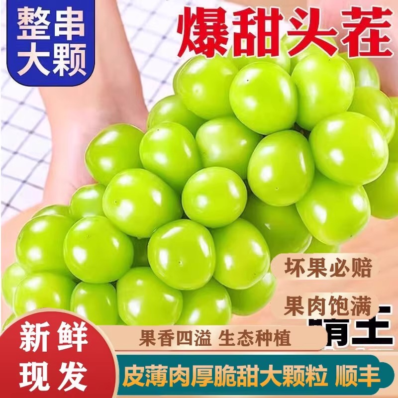 阳光玫瑰葡萄新鲜当季5斤大果脆甜无籽香印提子青提晴王葡萄顺丰