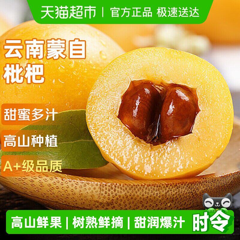 云南蒙自枇杷应当季新鲜水果高山长虹甜琵琶树上熟整箱