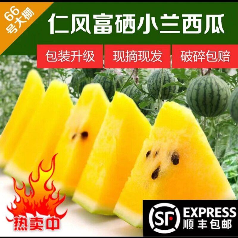 现摘特小凤黄瓤西瓜水果新鲜黄心黄肉西瓜麒麟瓜当季应季水果包邮