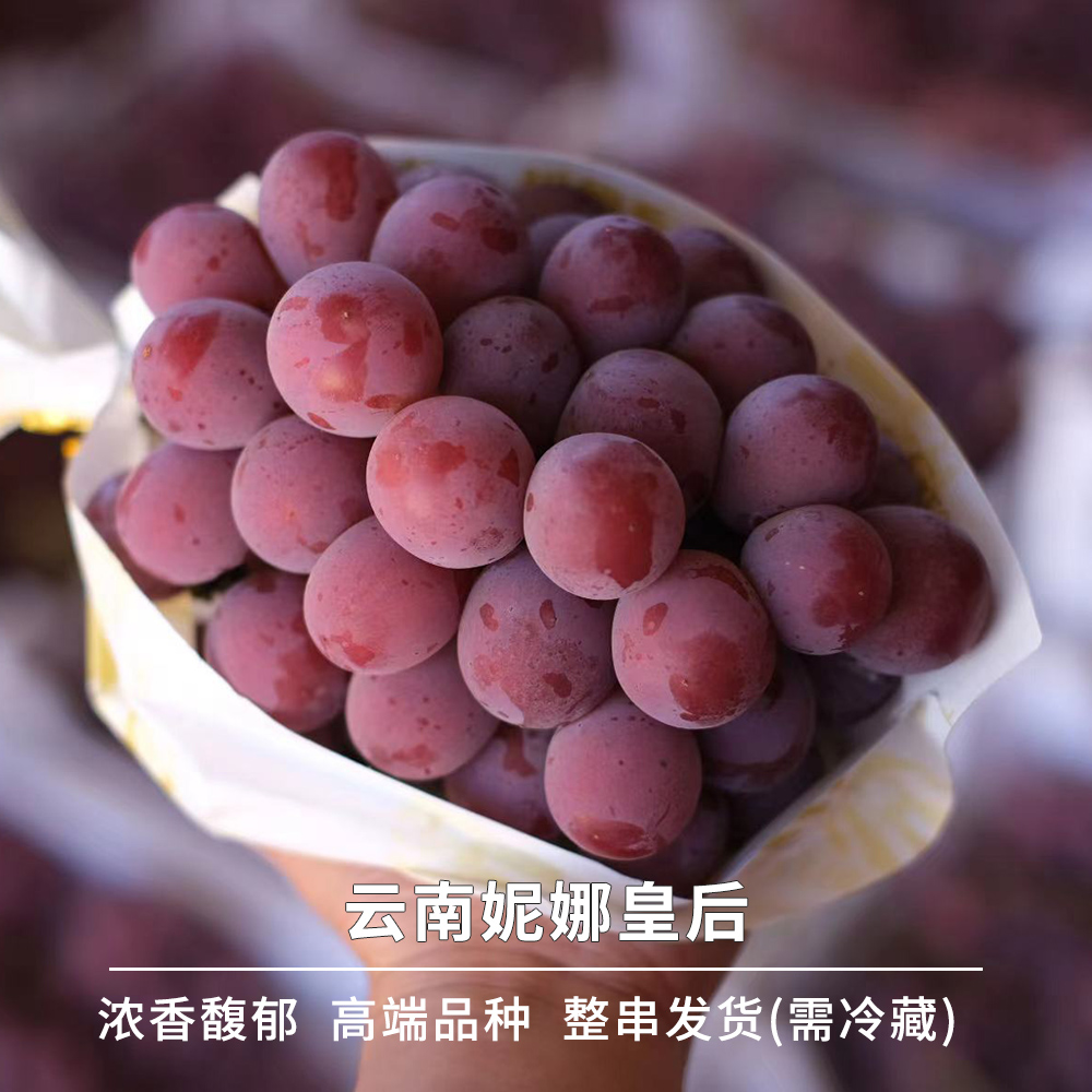 豆尚果品云南妮娜皇后葡萄无籽酒香高端顺丰空运新鲜当季水果礼盒