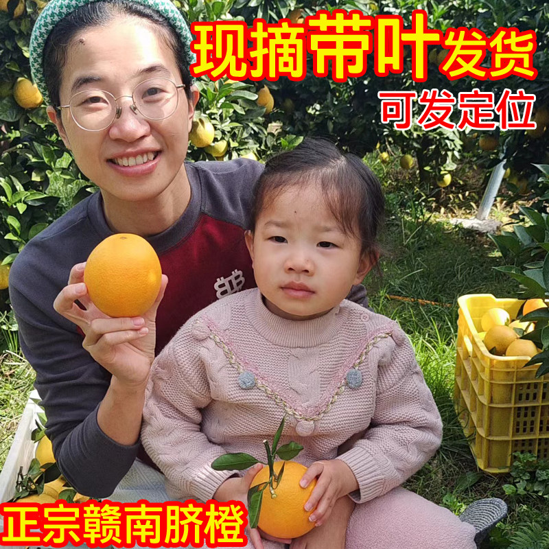 正宗赣南脐橙 江西橙子脐橙 原产地直发 新鲜现摘水果甜橙大果