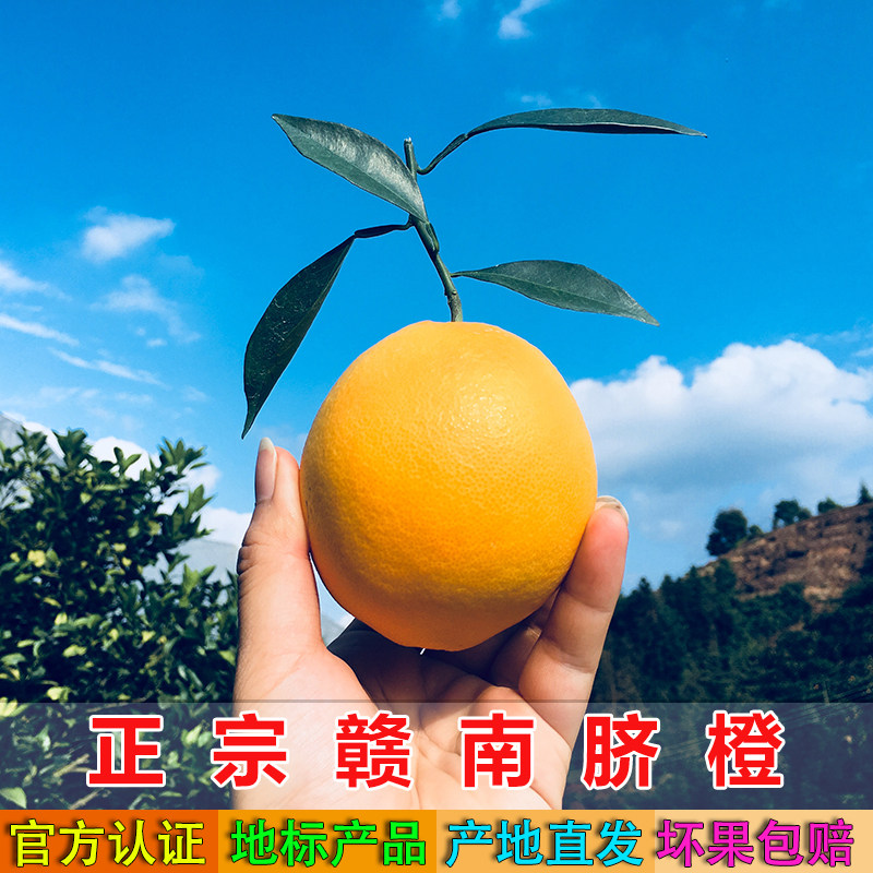 顺丰发货正宗江西赣南脐橙20斤橙子当季手剥孕妇新鲜水果产地直发