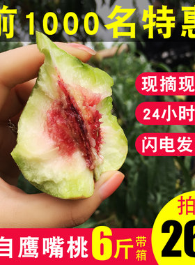 云南鹰嘴桃10斤包邮现摘新鲜水果水蜜桃时令孕妇甜脆桃5非连平鹰