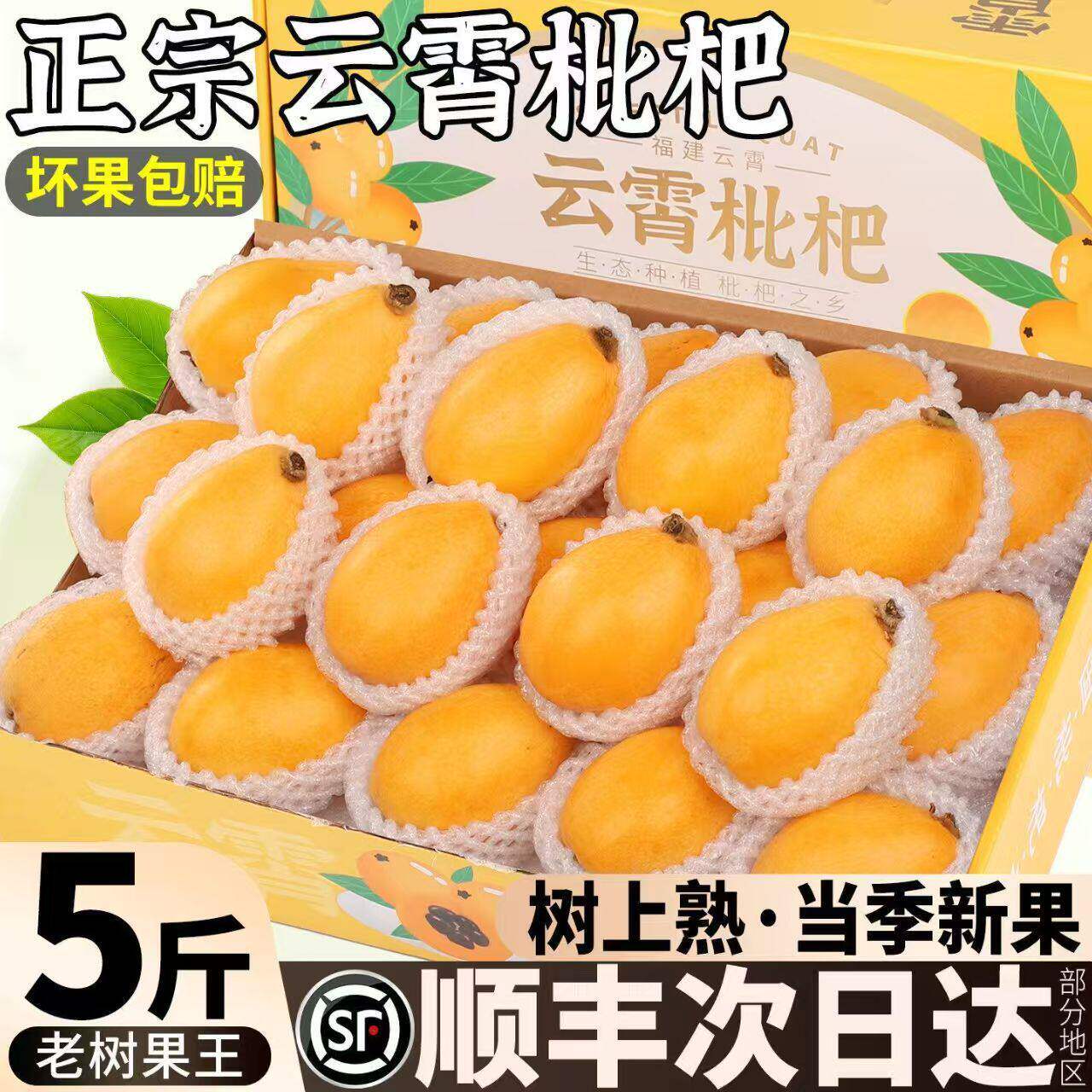 顺丰包邮5斤正宗云霄枇杷新鲜水果当季整箱礼盒鲜果琵琶大果批把