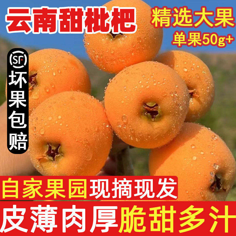 枇杷鲜果大果5斤琵琶水果云南大五星米易枇杷新鲜当季现摘整箱