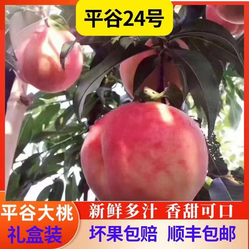 北京老24号脆桃平谷大桃新鲜水蜜桃子久保9现摘现发当季孕妇水果