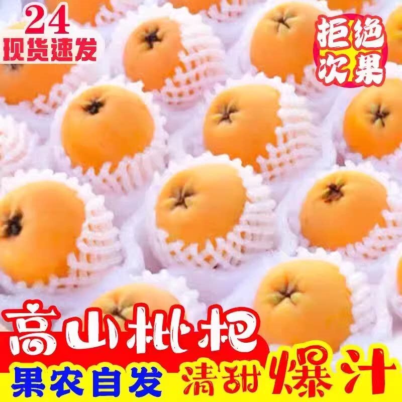 正宗四川大五星枇杷新鲜当季水果现摘攀枝花米易香甜琵琶鲜果包邮