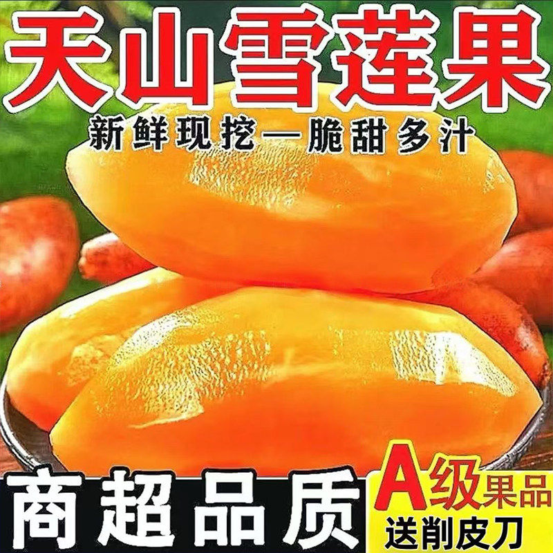 云南天山雪莲果新鲜水果1