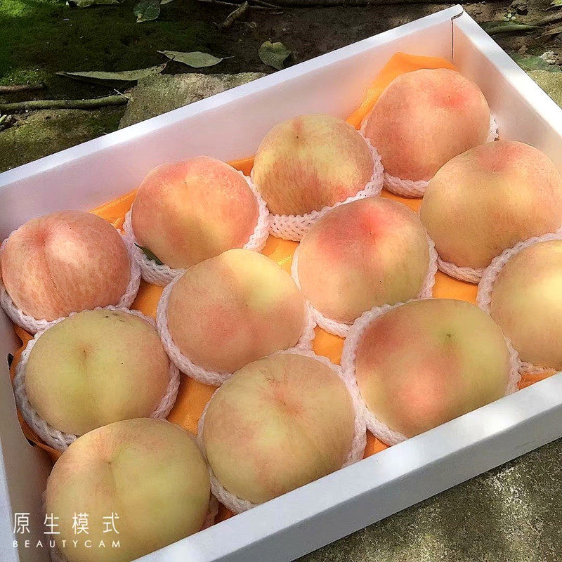 正宗无锡阳山水蜜桃现采现发水果白凤新鲜特产软桃撕皮礼盒装湖景