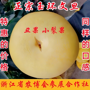 玉环文旦柚子裂果 表皮瑕疵新鲜水果 浙江楚门特产文旦当季蜜柚