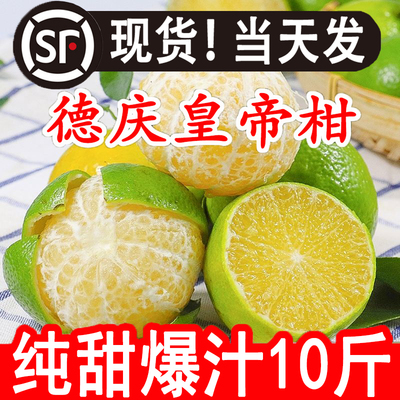 德庆广东德庆皇帝柑新鲜当季应季
