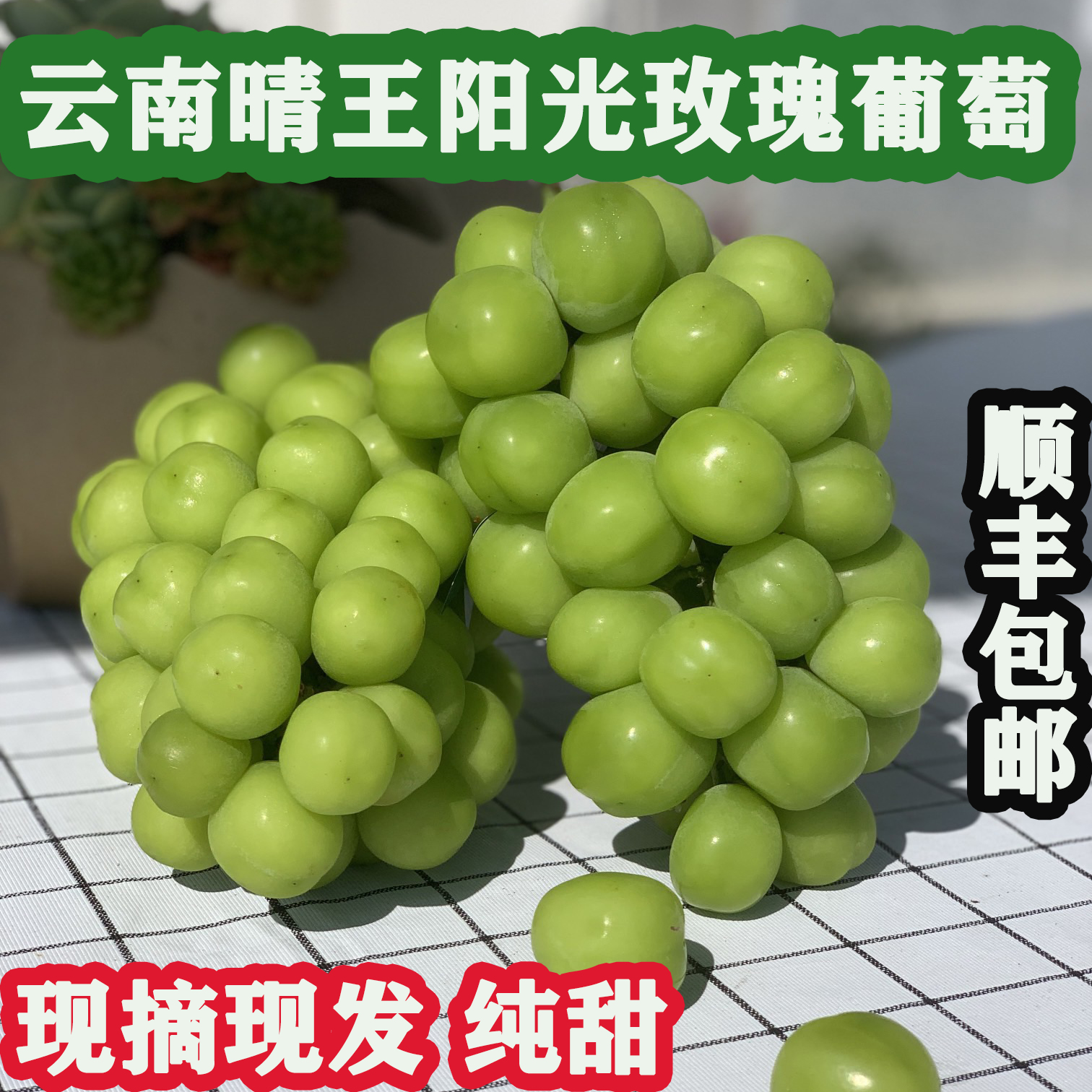 云南阳光玫瑰葡萄香印青提大理水果顺丰5斤包邮新鲜脆甜当季孕妇