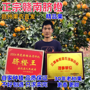 正宗江西赣南脐橙赣州橙子新鲜10斤孕妇水果安远甜橙现摘特级大20