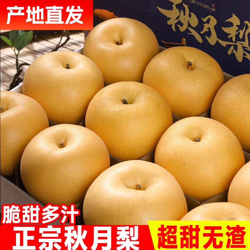 山东莱阳秋月梨5斤包邮新