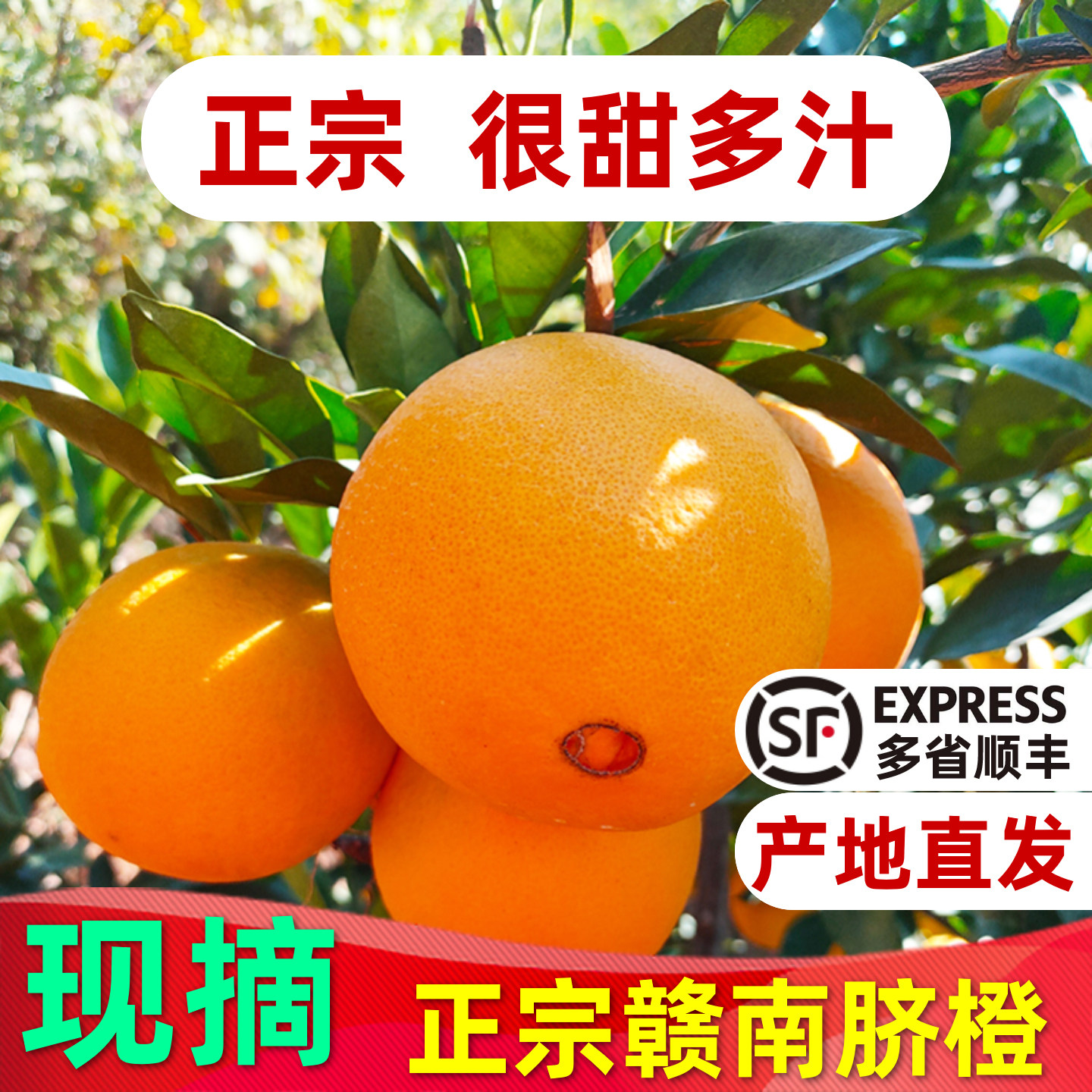 正宗赣南脐橙江西赣州橙子新鲜9斤装产地直发应季整箱当季水果