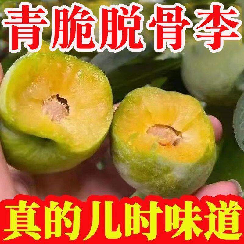 四川正宗脱骨青脆李子土