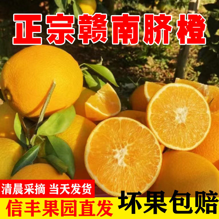 正宗赣南脐橙时令水果新鲜当季10斤5斤包邮超甜多汁孕妇信丰橙子