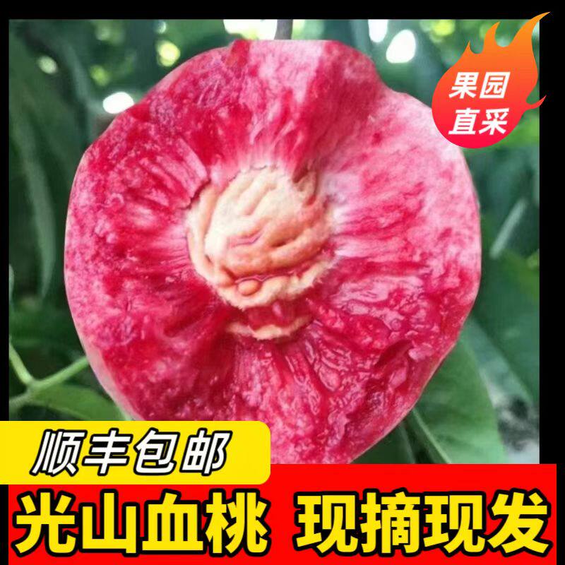 【顺丰包邮】信阳光山五