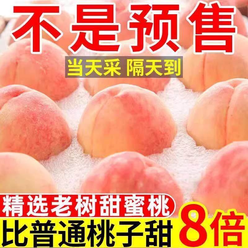 现货露天水蜜桃5斤新鲜当季脆甜毛桃应季现摘油密软时令桃子包邮