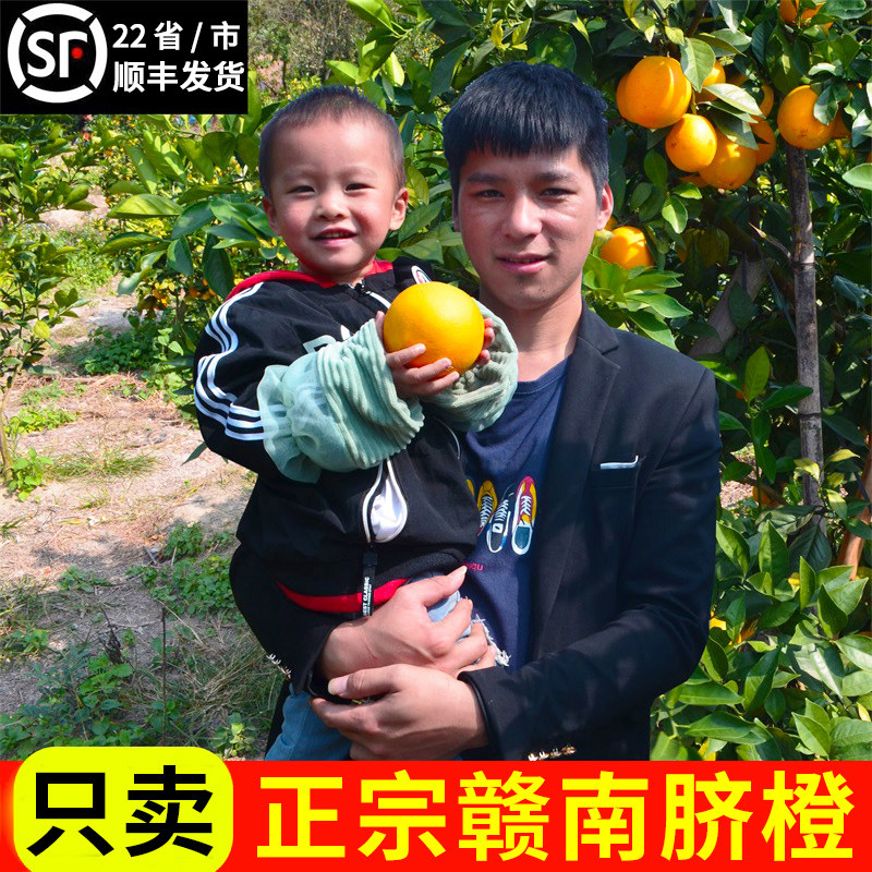 赣南脐橙江西赣州产地直发10斤装正宗阳光手剥新鲜大果精品甜橙子