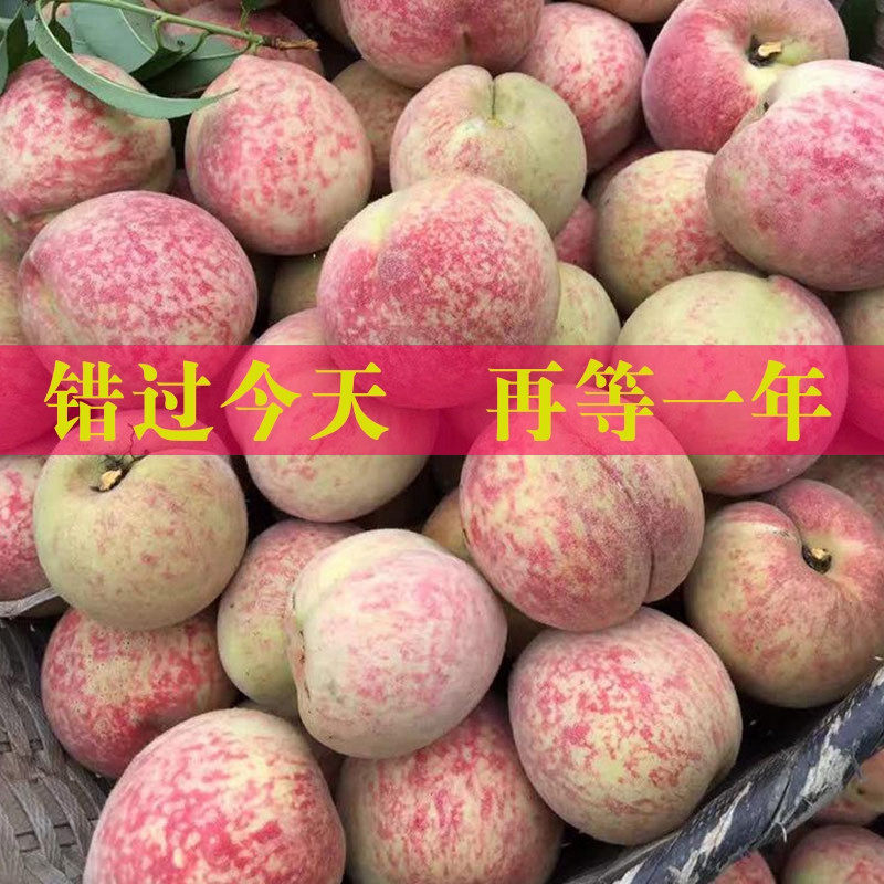 正宗朱砂红血桃现摘新鲜