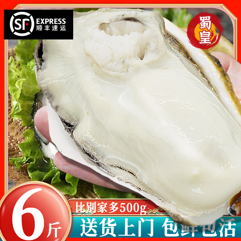 乳山生蚝鲜活5斤 特大生蚝肉即食牡蛎贝新鲜海蛎子10海鲜水产一箱