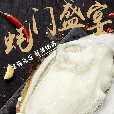 海鲜蜀皇乳山生蚝鲜活8斤