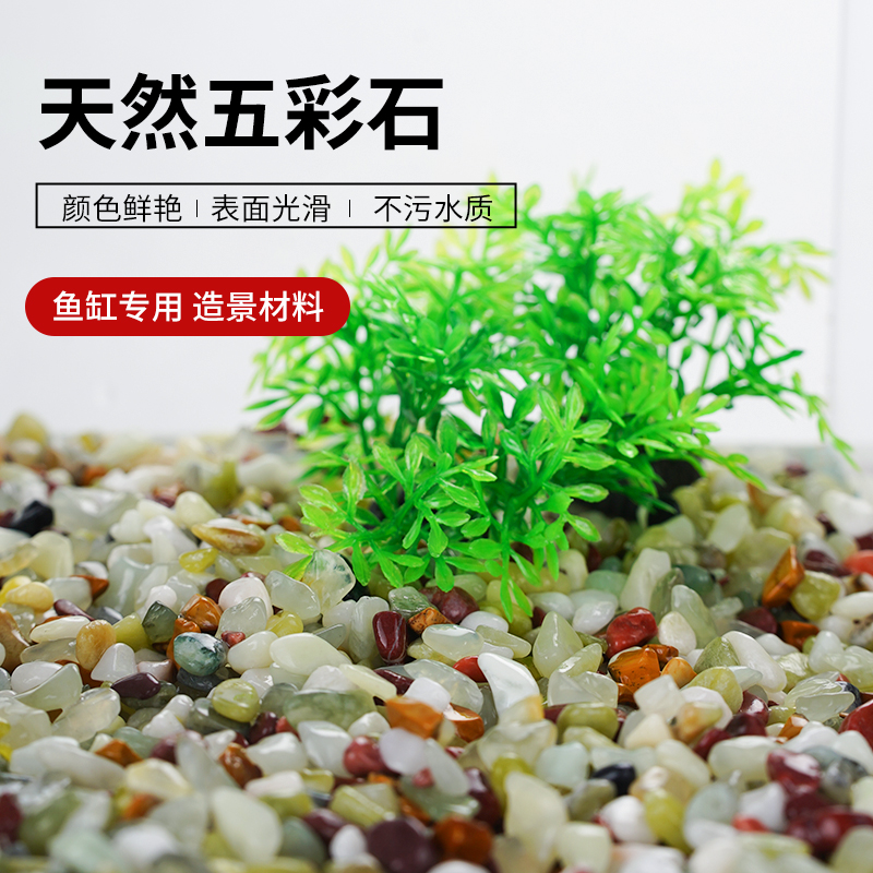 五彩石鱼缸底砂天然造景石盆栽铺底多肉植物铺面雨花石装饰小石头 宠物/宠物食品及用品 造景/装饰 原图主图