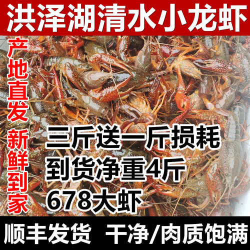 鲜活小龙虾3斤【干净满肉】顺丰