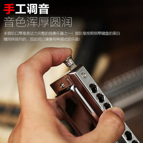 天鹅授权  自由变换 发音灵敏
