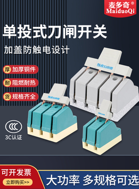 配电箱柜隔离开关2P4P32A63A100A刀闸单投式380V三相四线南菱闸刀