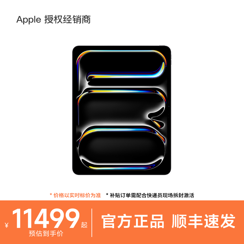 Apple/苹果iPadPro13英寸
