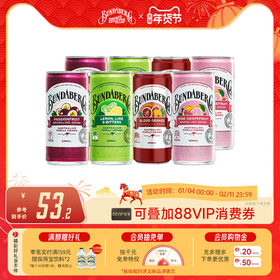 澳洲进口宾得宝果味风味气泡饮料