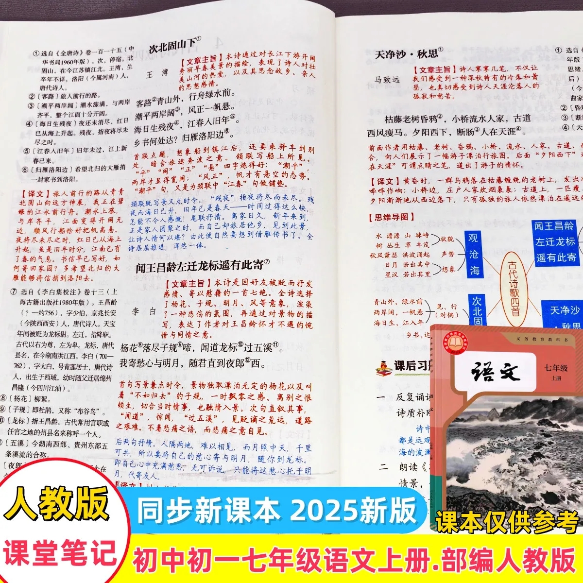 2025新版七年级上下册课堂笔记