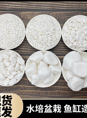 白石子鹅卵石天然雨花石盆栽造景鱼缸小石头多肉铺面水培郁金香