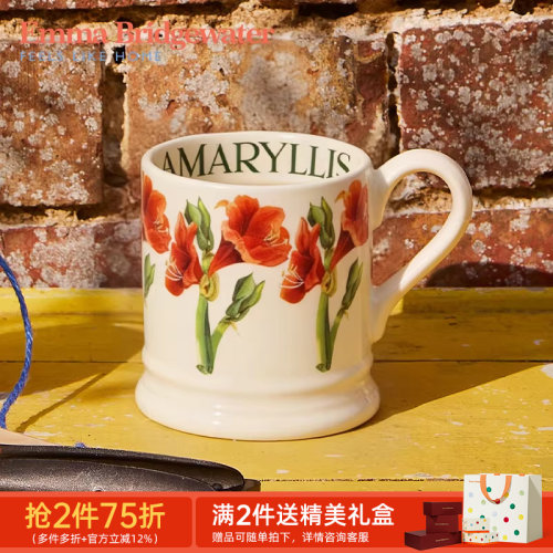 emma朱顶红中号马克杯